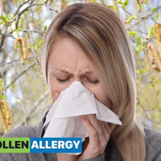 Birch Pollen Allergy