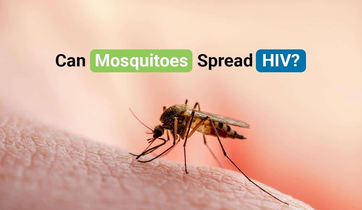 Can Mosquitoes Spread HIV