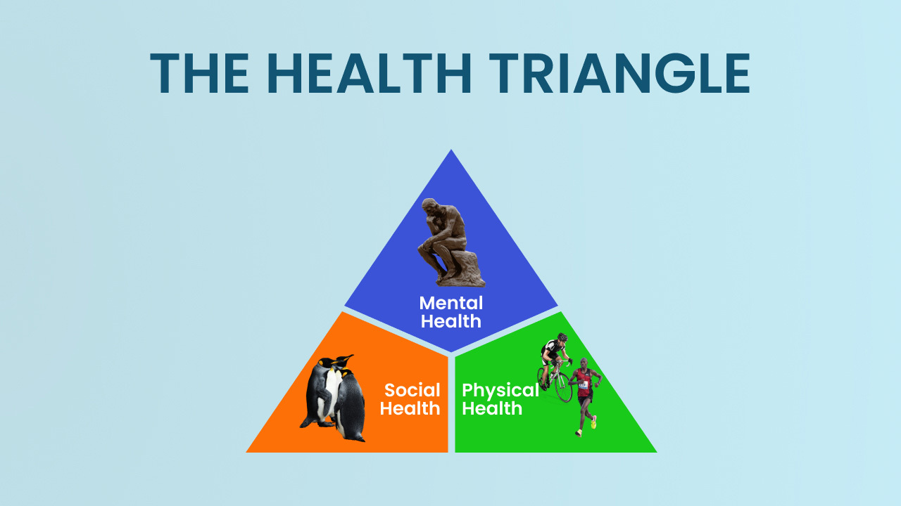 health triangle